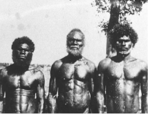 Australia's Aboriginal Tribesman